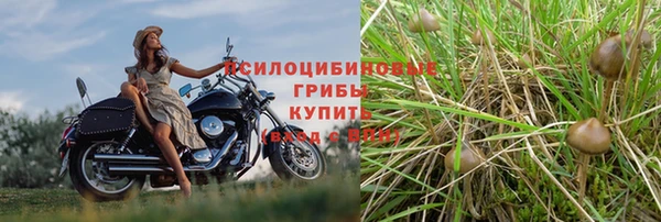 а пвп мука Нея