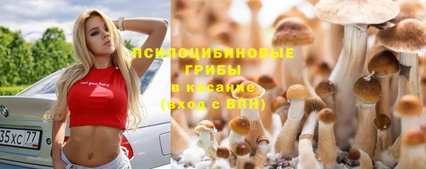 mix Липки
