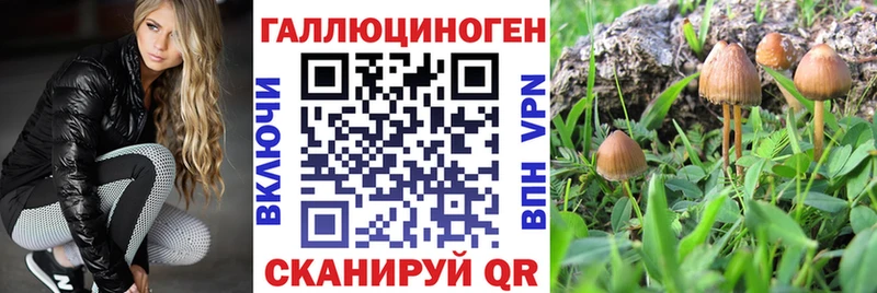 как найти закладки  Троицк  Псилоцибиновые грибы мухоморы 