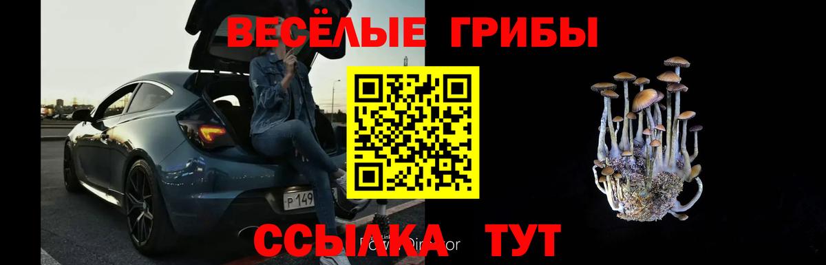 Галлюциногенные грибы мухоморы  Вход с VPN  Троицк 